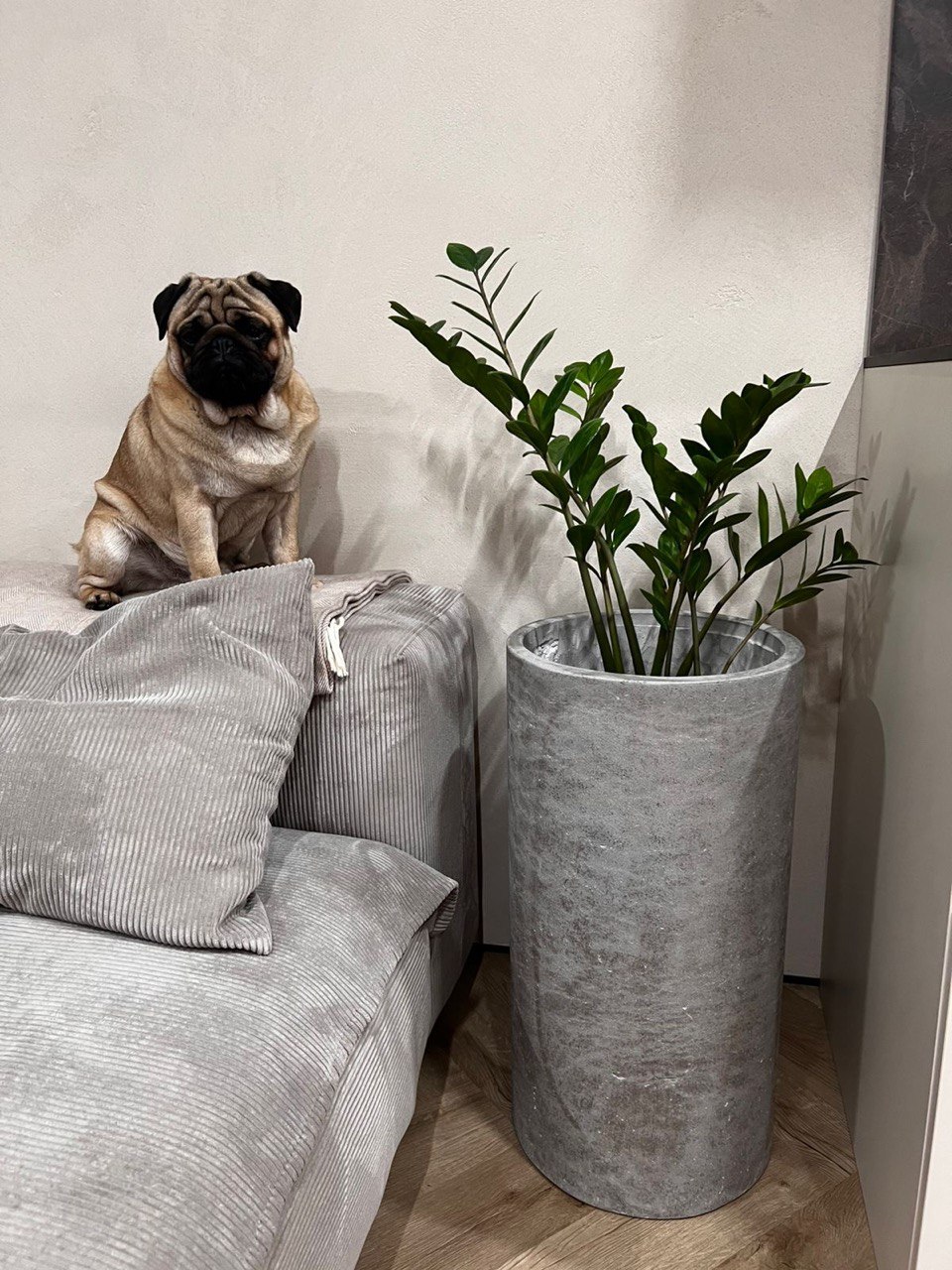 Кашпо круглое