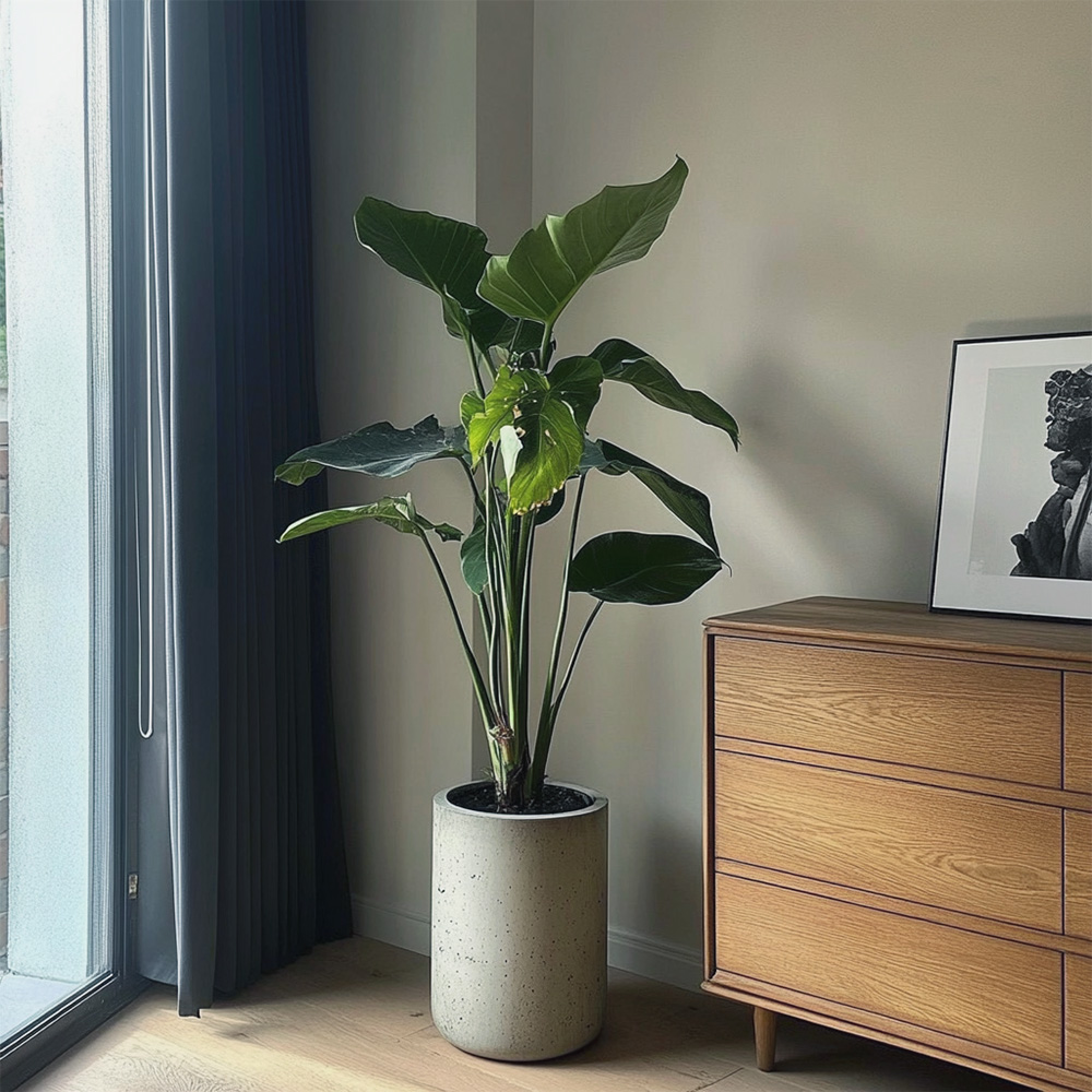 Кашпо круглое